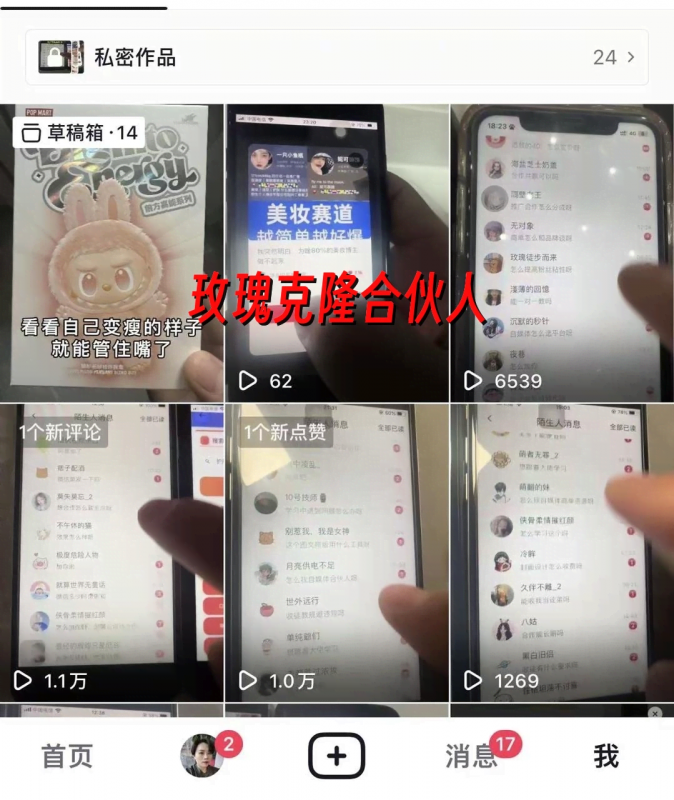 （18163期）玫瑰克隆，一键爆款工具，ai智能体，自媒体神器，60多个功能教程