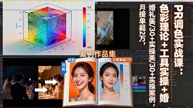 （16336期）PR调色实战课：色彩理论+工具实操+婚礼医美/30+实操案例，月接单超2万-离锋创库