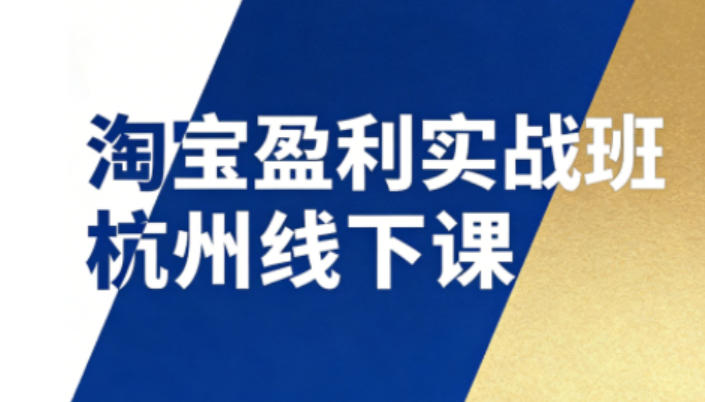 淘宝盈利实战班杭州线下课12月26-28日（音频+字幕），帮你掌握SOP流程+12门核心技术-离锋创库