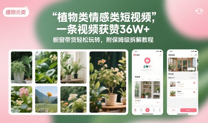 植物类情感类短视频，一条视频获赞36W+，橱窗带货轻松玩转，附保姆级拆解教程-离锋创库