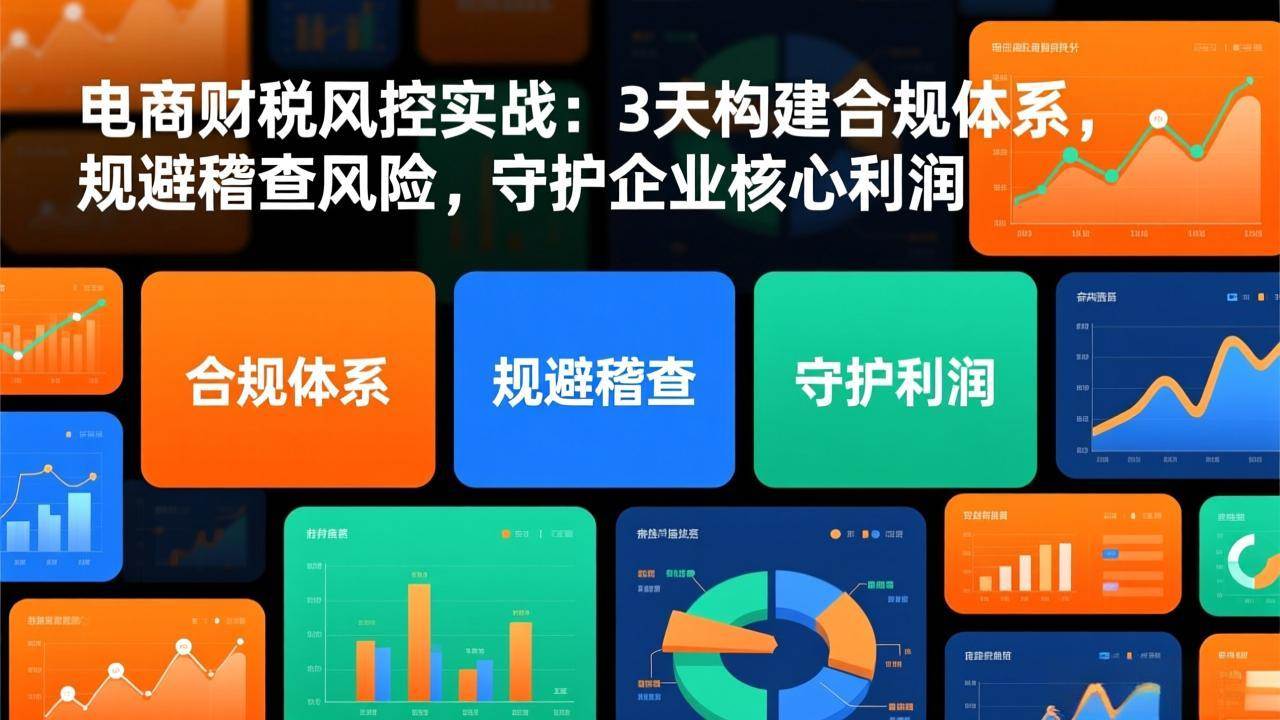(17197期)电商财税风控实战:3天构建合规体系,规避稽查风险,守护企业核心利润-离锋创库