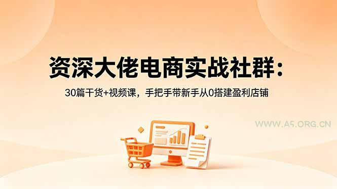 【精】资深大佬电商实战社群：30篇干货+视频课，手把手带新手从0搭建盈利店铺-离锋创库