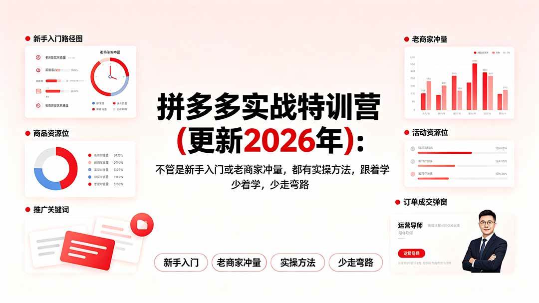 （19724期）拼多多实战特训营(更新2026年)：不管是新手入门或老商家冲量，都有实操方法，跟着学，少走弯路-离锋创库