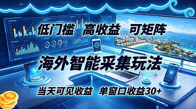 （18955期）海外智能采集玩法，低门槛高单价可矩阵，当天可见收益，单窗口30+-离锋创库