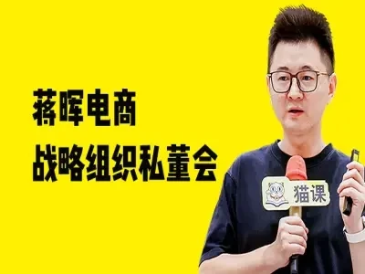 蒋晖电商战略组织私董会-教程视频打包下载 蒋晖电商战略组织私董会-教程视频打包下载