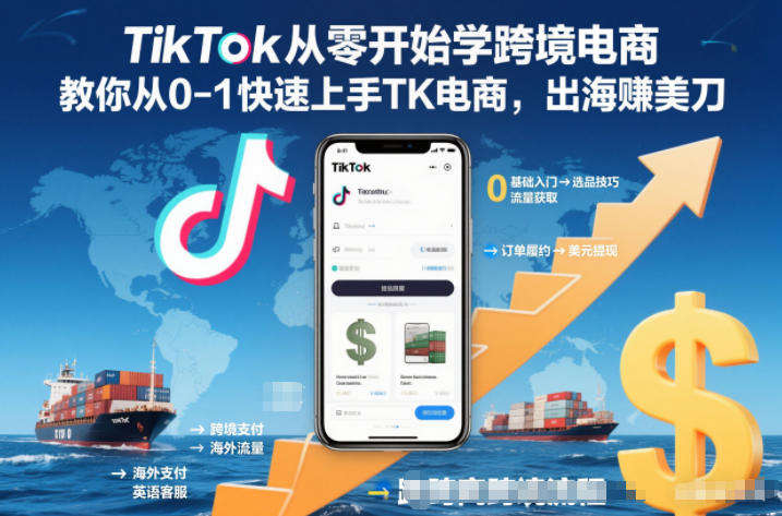 TikTok从零开始学跨境电商,教你从0-1快速上手TK电商,出海賺美刀-离锋创库