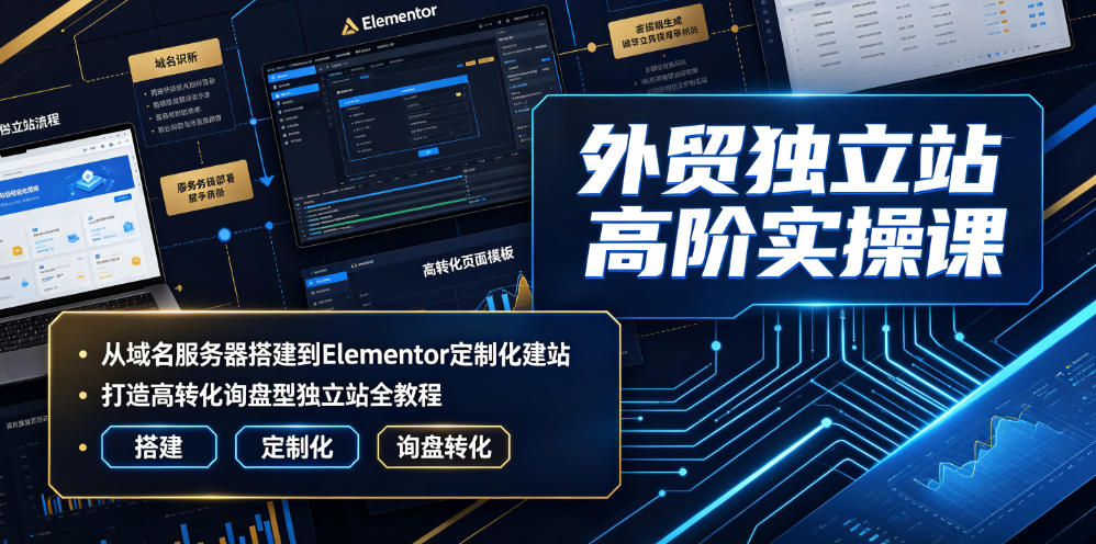 外贸独立站高阶实操课｜从域名服务器搭建到Elementor定制化建站，打造高转化询盘型独立站全教程-离锋创库