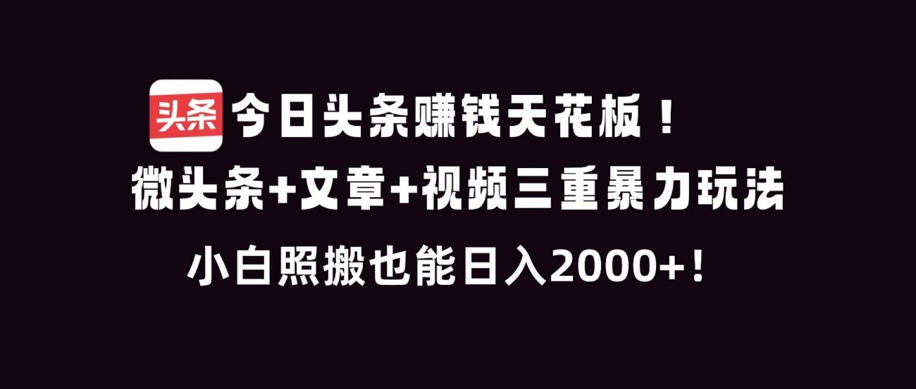 （16888期）今日头条赚钱天花板！微头条+文章+视频三重暴利玩法，小白照搬也能日人2000+-离锋创库