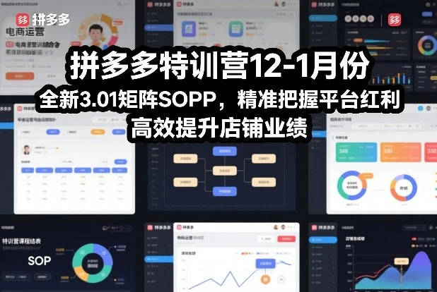 【精】拼多多特训营12-1月份，全新3.01矩阵Sop，精准把握平台红利，高效提升店铺业绩-离锋创库