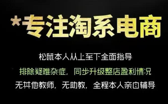 松鼠会电商VIP课程，从基础布局到高阶优化，助你掌握淘宝运营逻辑，提升店铺流量与转化（更新0809）-离锋创库