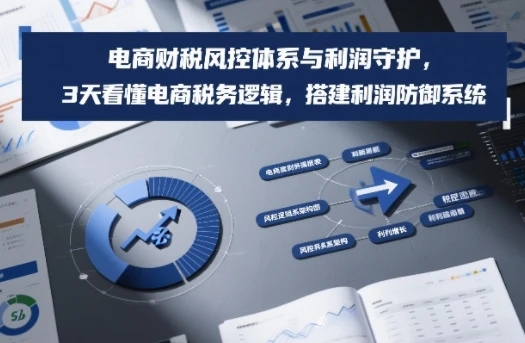 【精】电商财税风控体系与利润守护，3天看懂电商税务逻辑，搭建利润防御系统-离锋创库