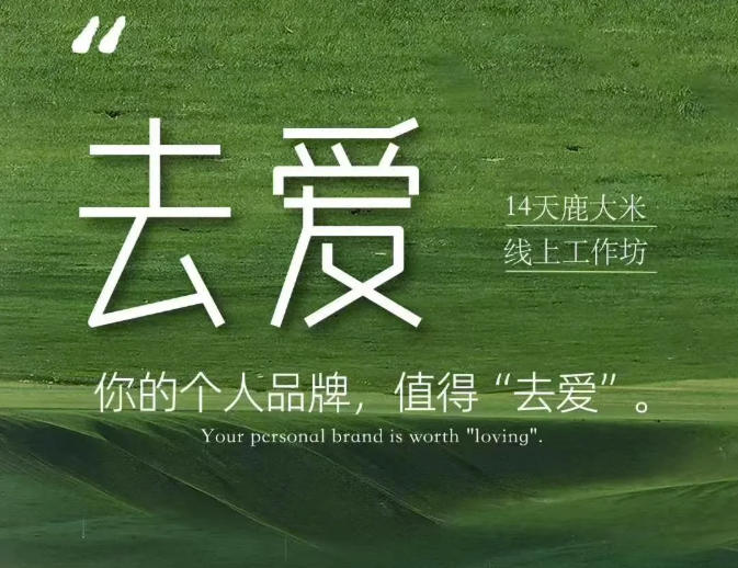 【精】去爱14天鹿大米线上工作坊 你的个人品牌 值得“去爱”-离锋创库