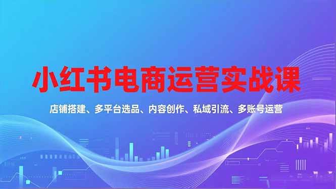 (16695期)小红书电商运营实战课,店铺搭建、多平台选品、内容创作、私域引流、多账号运营等玩法-离锋创库