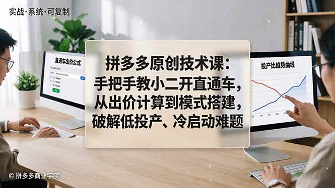 （18159期）拼多多原创技术课：手把手教小二开直通车，从出价计算到模式搭建，破解低投产、冷启动难题-离锋创库