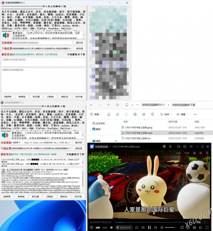 侠客多平台短视频解析去水印工具 V5.1-离锋创库
