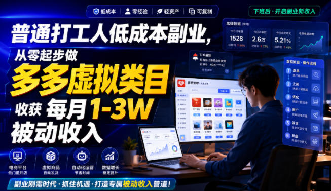 普通打工人低成本副业，从零起步做多多虚拟类目，收获每月1-3W被动收入【揭秘】-离锋创库