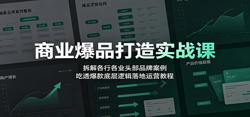 商业爆品打造实战课：拆解各行各业头部品牌案例，吃透爆款底层逻辑落地运营教程-离锋创库