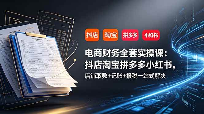 (19001期)电商财务全套实操课:抖店淘宝拼多多小红书,店铺取数+记账+报税一站式解决-离锋创库