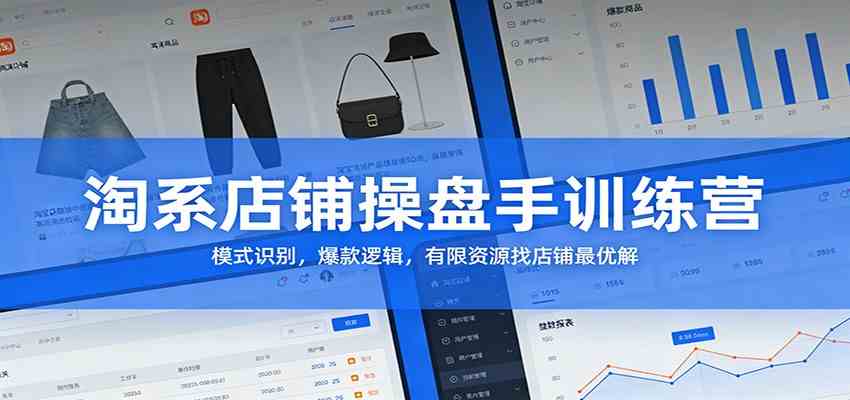 淘系店铺操盘手训练营：模式识别，爆款逻辑，有限资源找店铺最优解-离锋创库